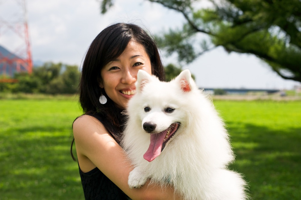 Japanese Spitz sitting calmly near a path