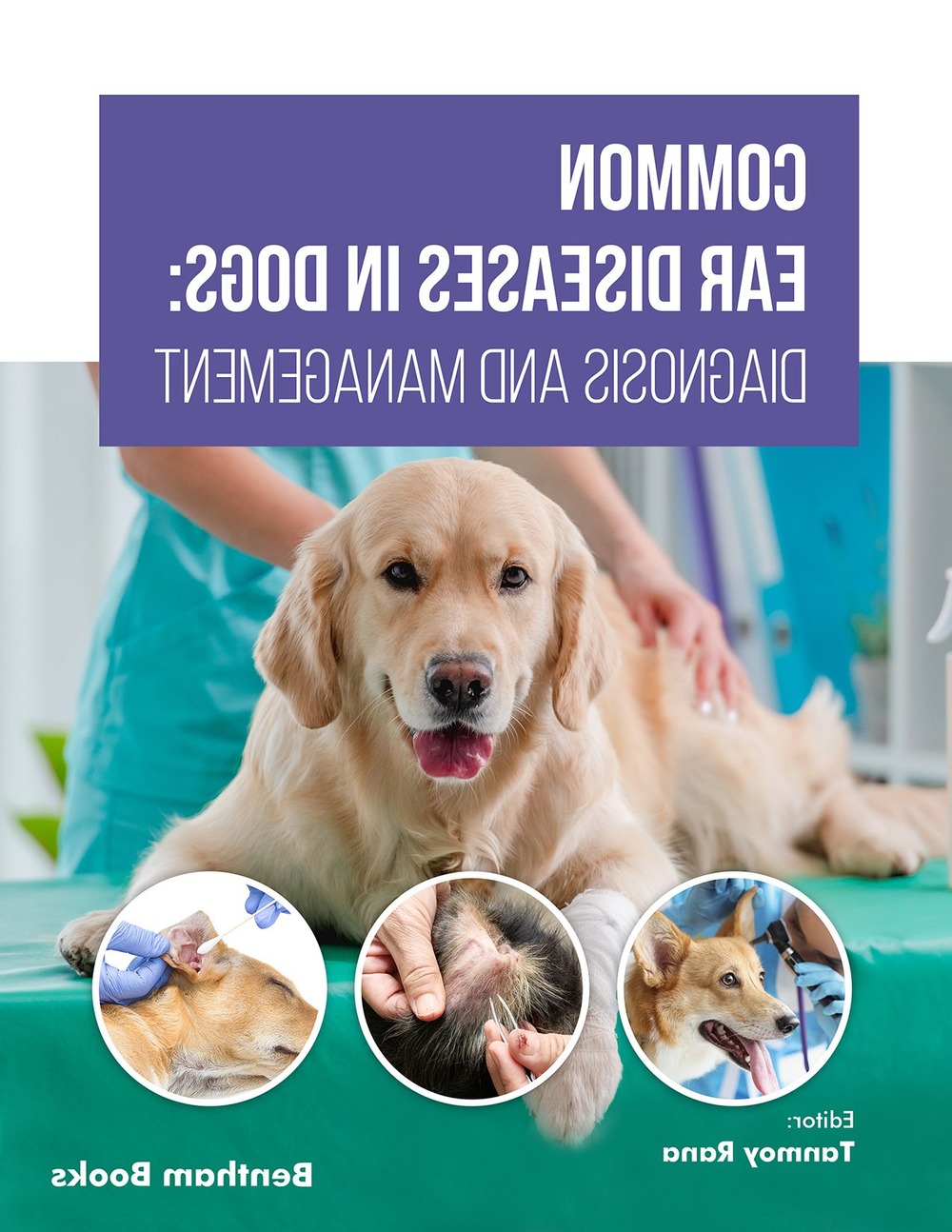 Close-up of a dog's ear