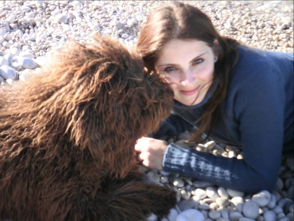 Spanish Water Dog standing outdoors