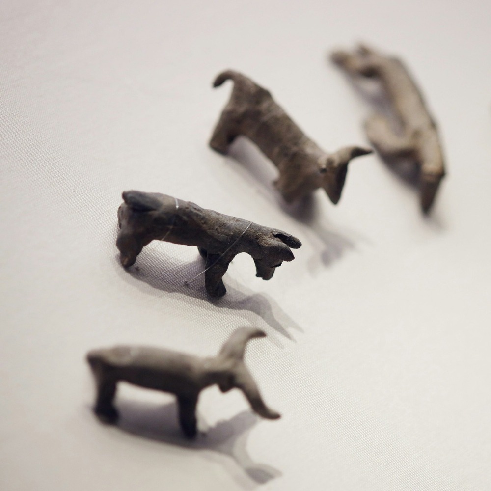 Donggyeongi dog outdoors near a bowl