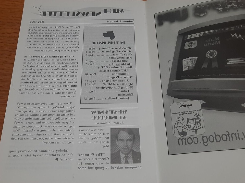 Dog being groomed for competition