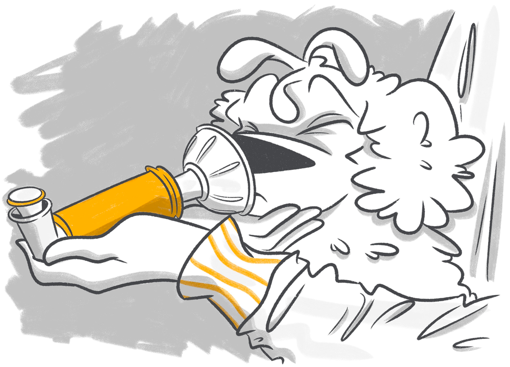 Dog sitting indoors with attentive posture