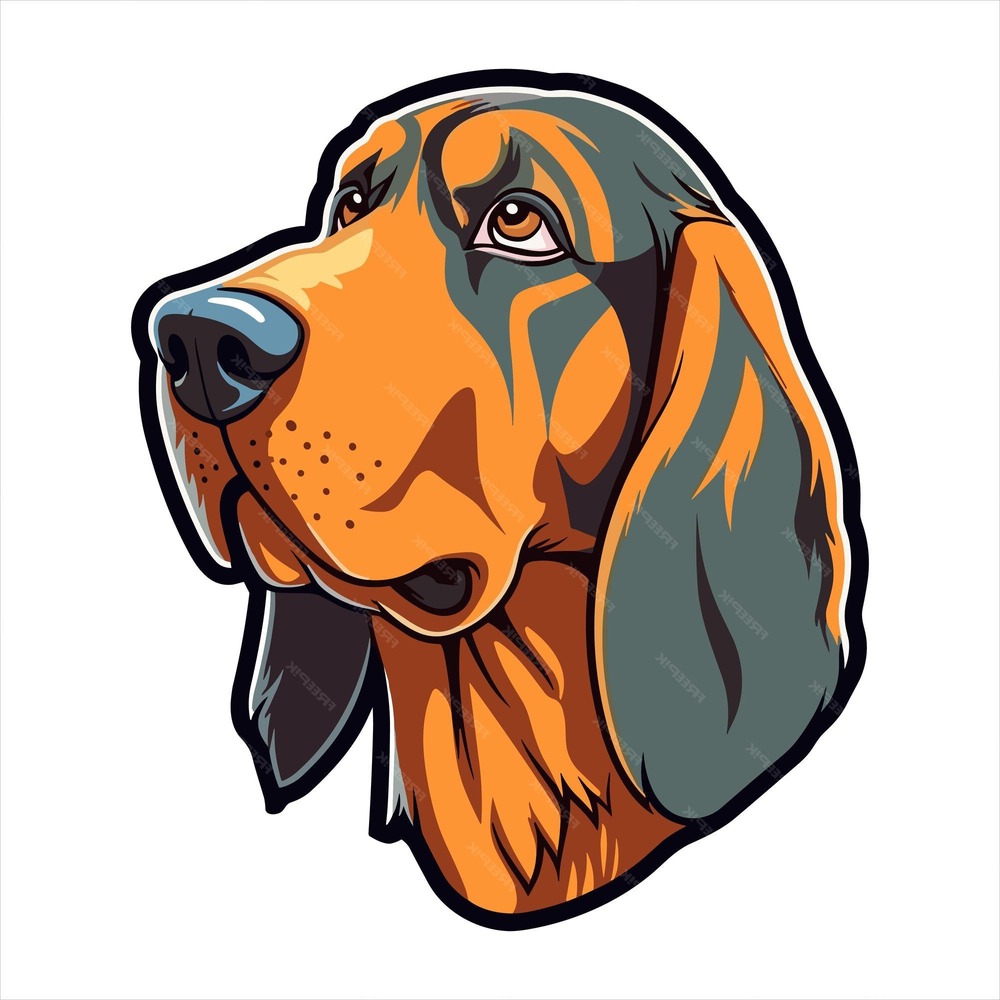 Deutsche Bracke standing outdoors