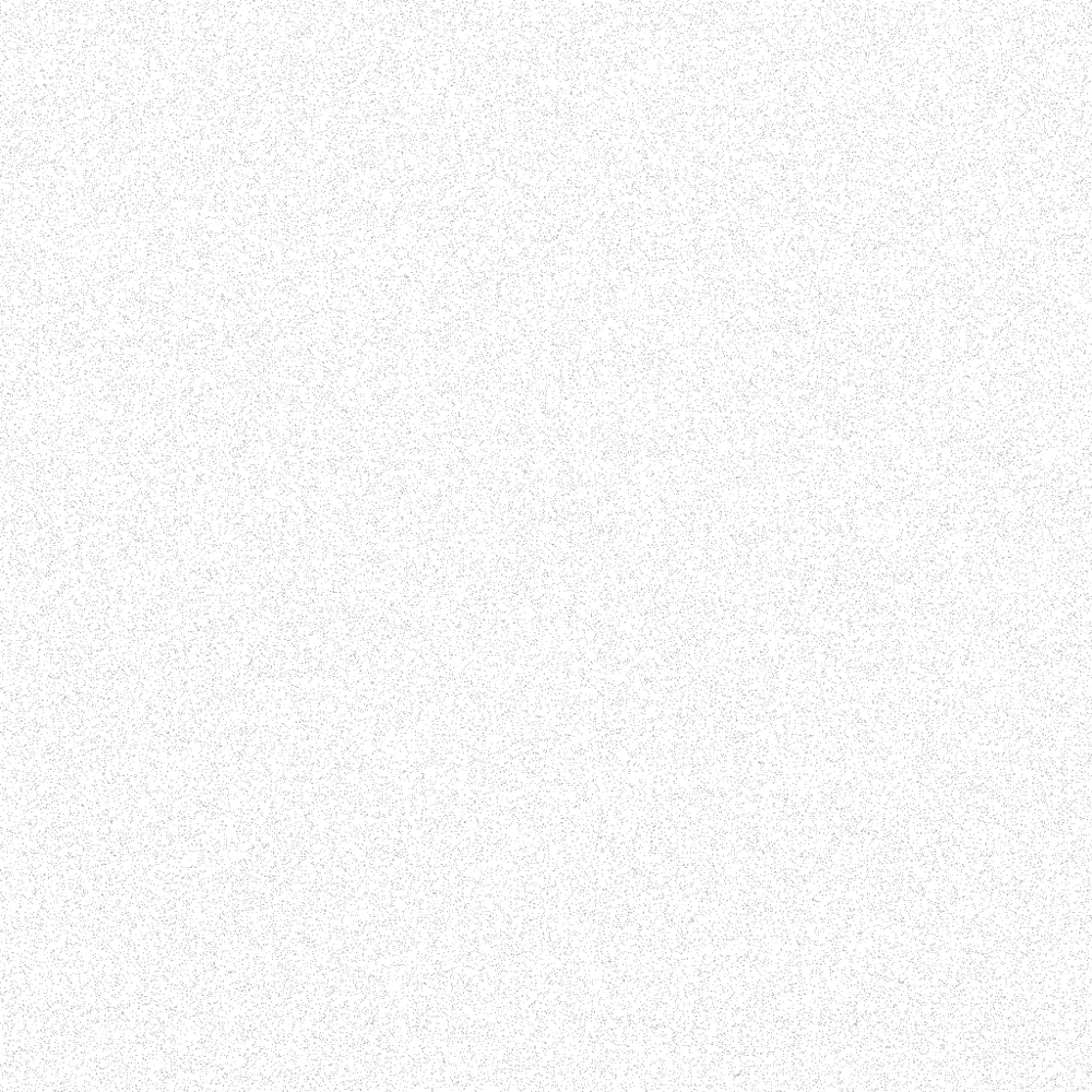 Kombai dog portrait close up