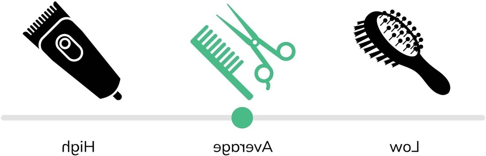 Close view of Laekenois wiry coat texture