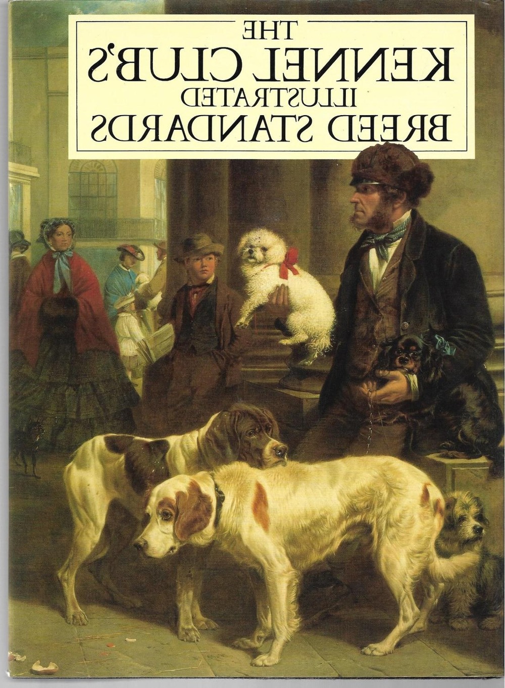 Dog owner holding paperwork outdoors