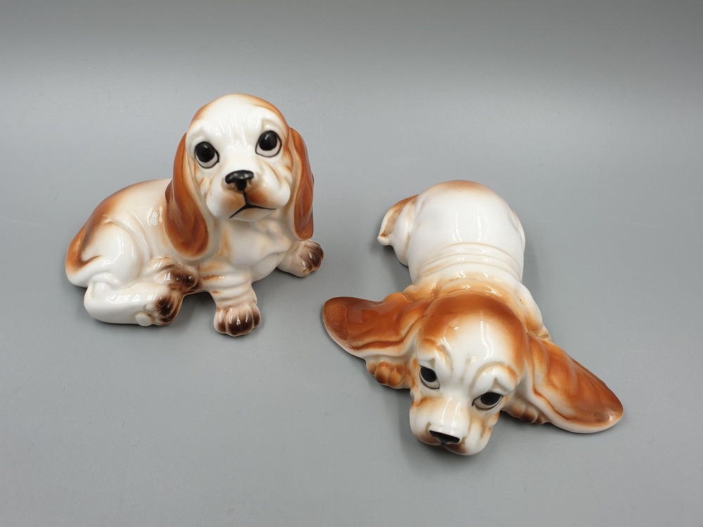 Bruno Jura Hound standing outdoors