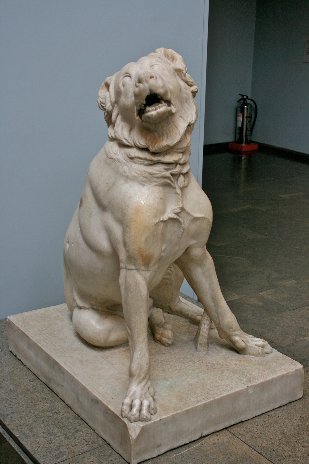 Large guardian dog resting and watching