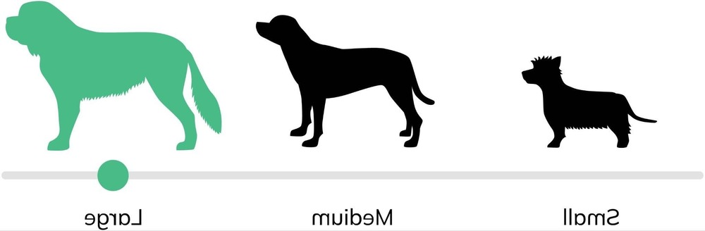 Kangal shepherd dog outdoors