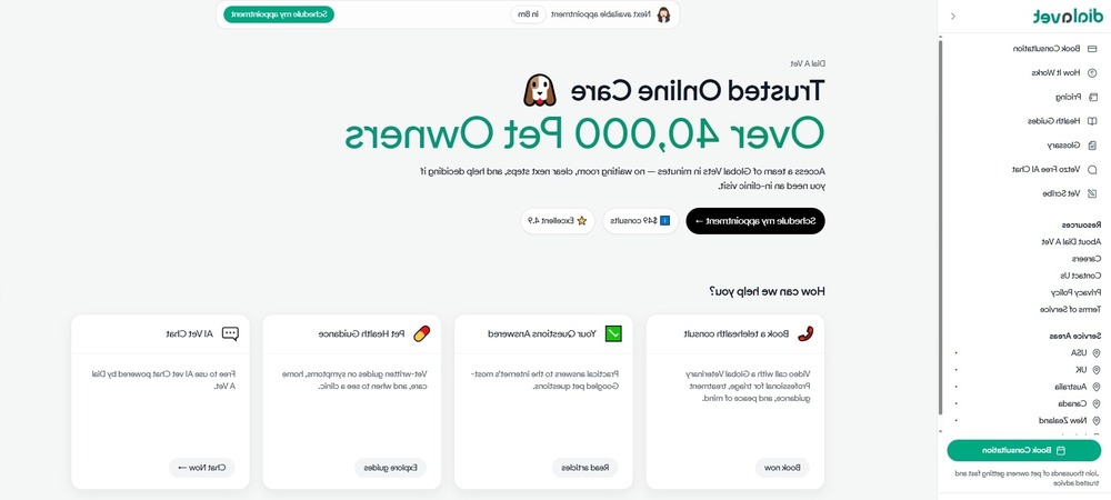 Norwegian Buhund resting outside in daylight