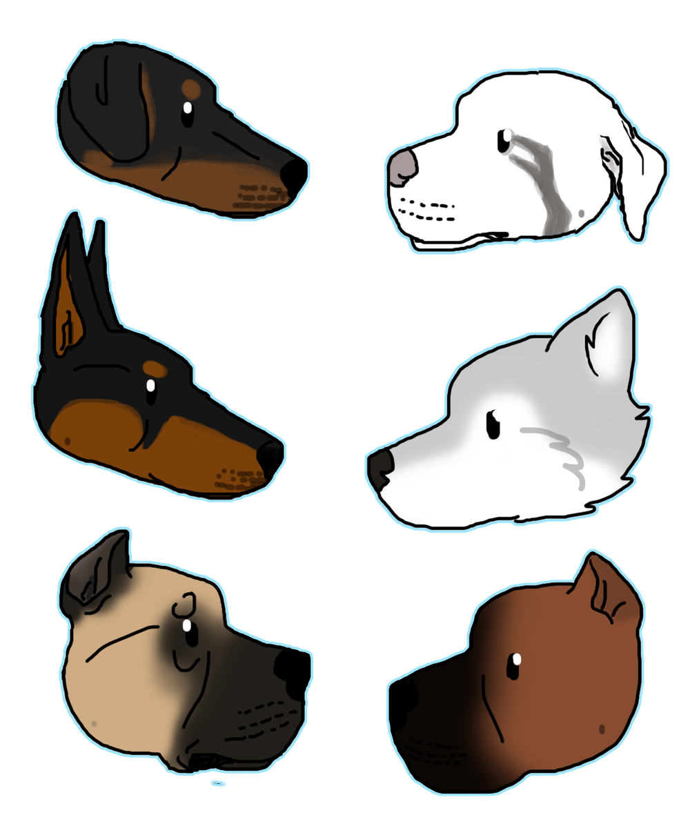 Close-up of a purebred dog outdoors