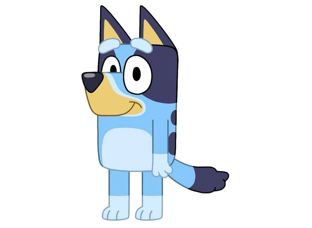 Hamiltonstovare head and shoulders