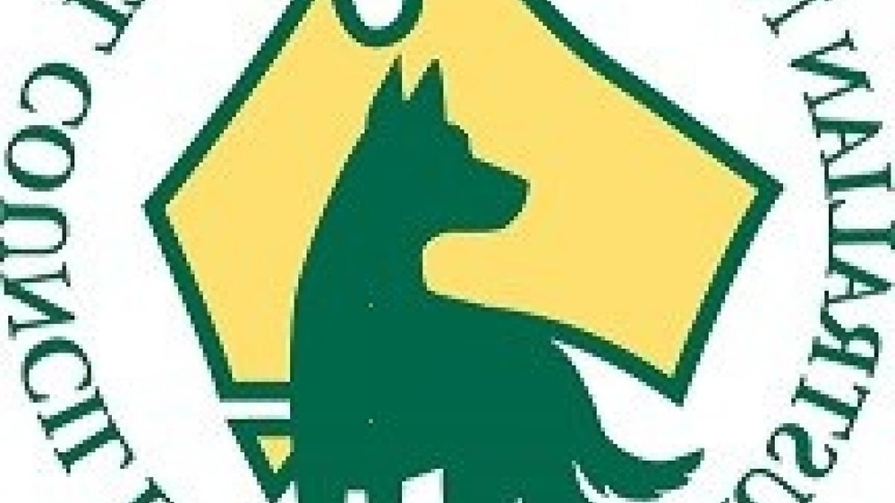 Group of dog enthusiasts at a dog event