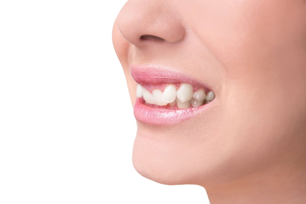 Dog sitting calmly with mouth closed