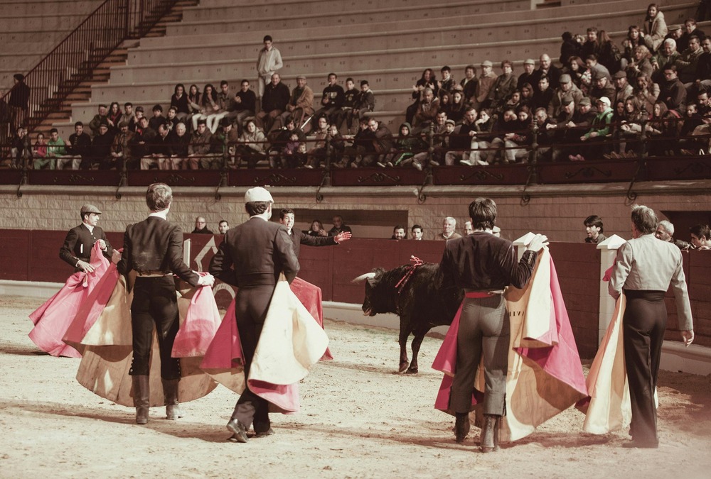 Villano de las Encartaciones side profile