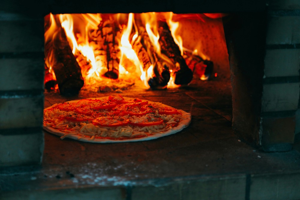 Veterinary blood test equipment on a bench