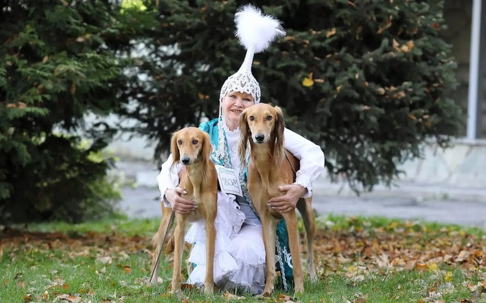 Tazy dog standing near a path