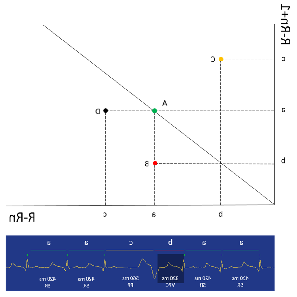 Medication and monitoring concept for canine heart care