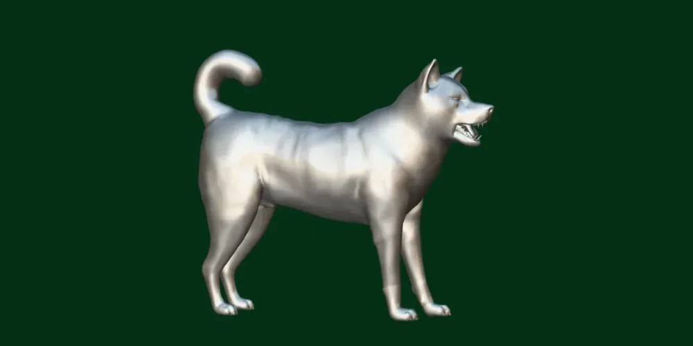 Kishu dog looking to the side in a natural setting