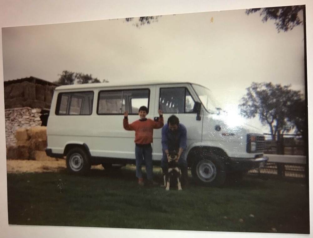 Carea Castellano Manchego sitting alertly