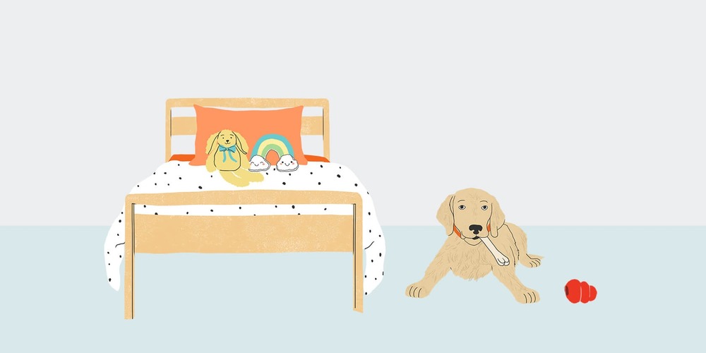 Dog holding a chew while looking relaxed