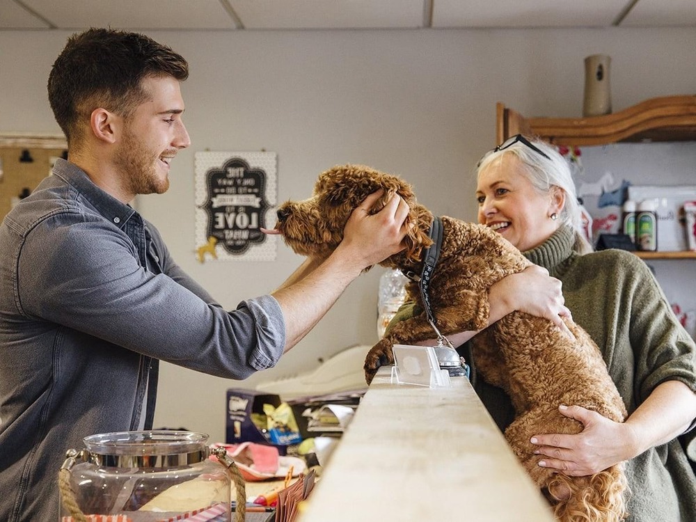Dog showing relaxed body language outdoors