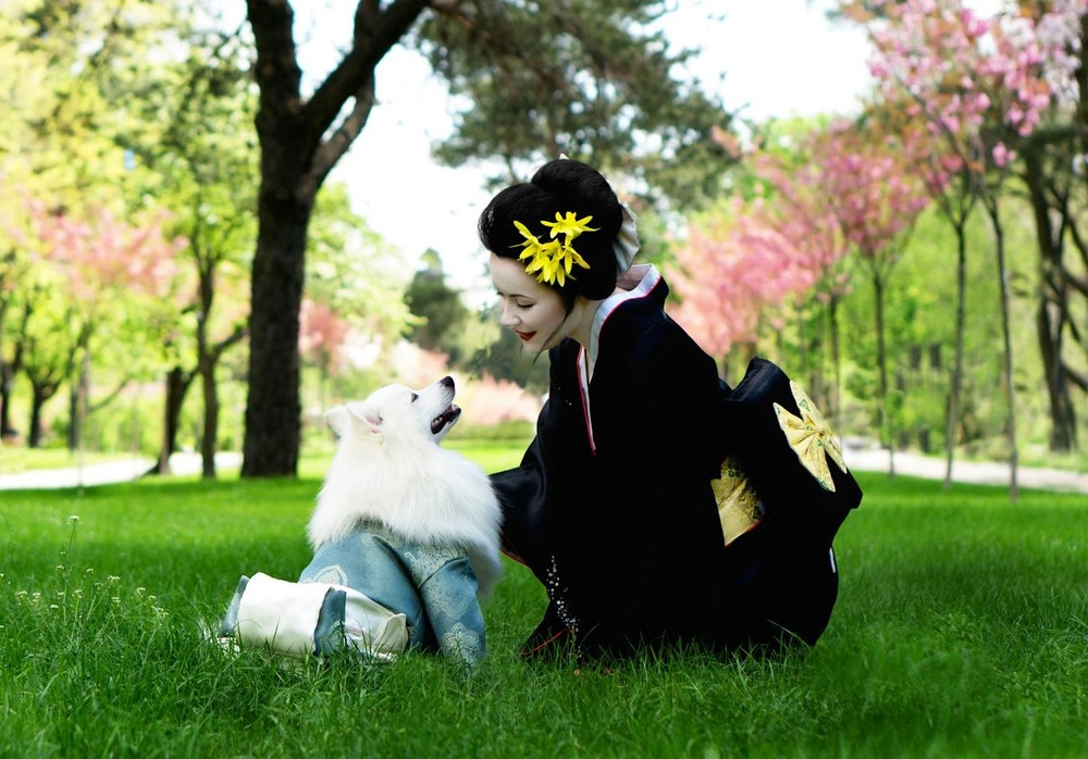 Large guardian dog standing outdoors