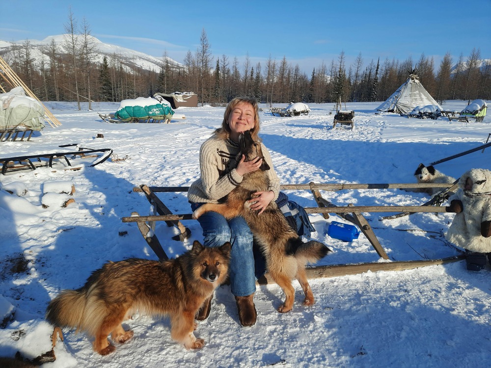 Close view of thick double coat on sled dog
