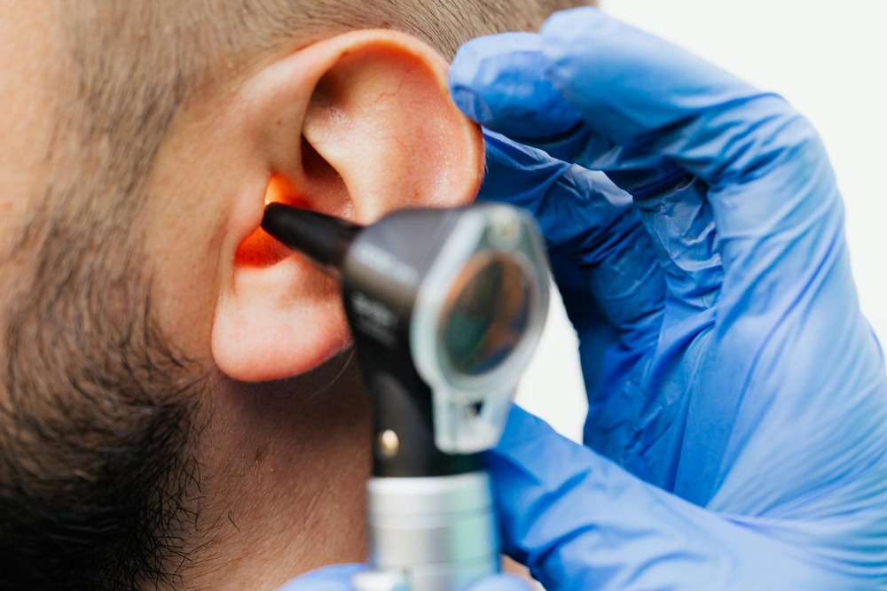 Vet examining a dog's ear