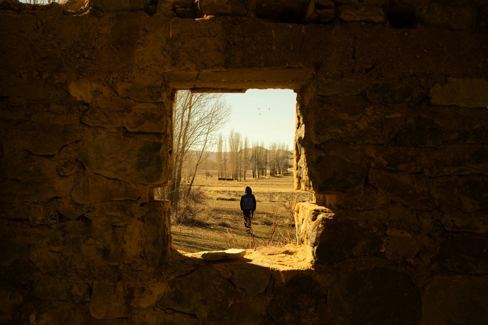 Anatolian Shepherd on lead during training