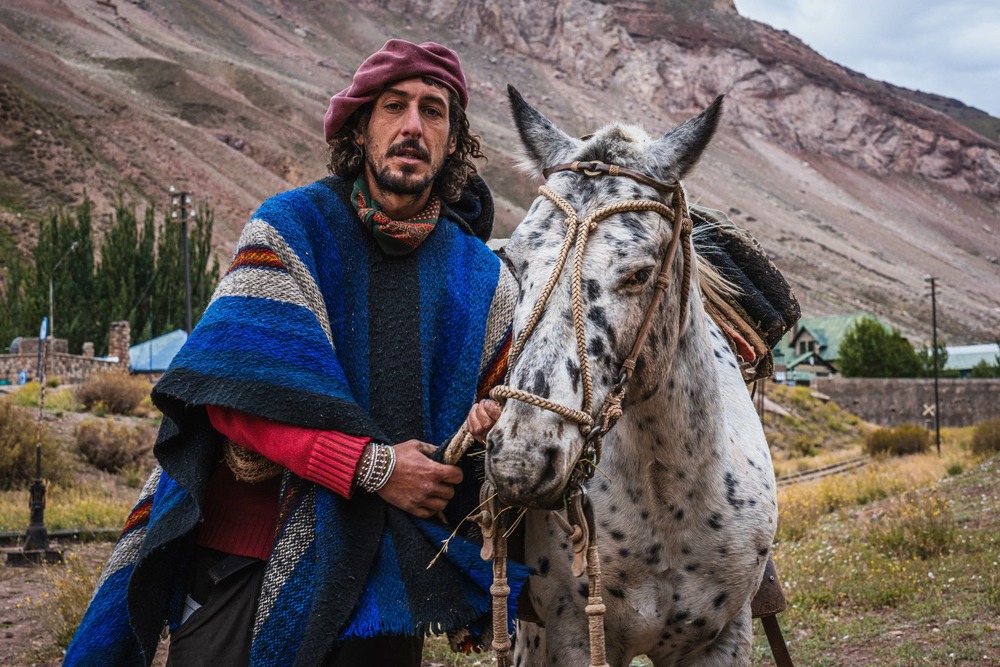 Pampas Deerhound standing in grassland