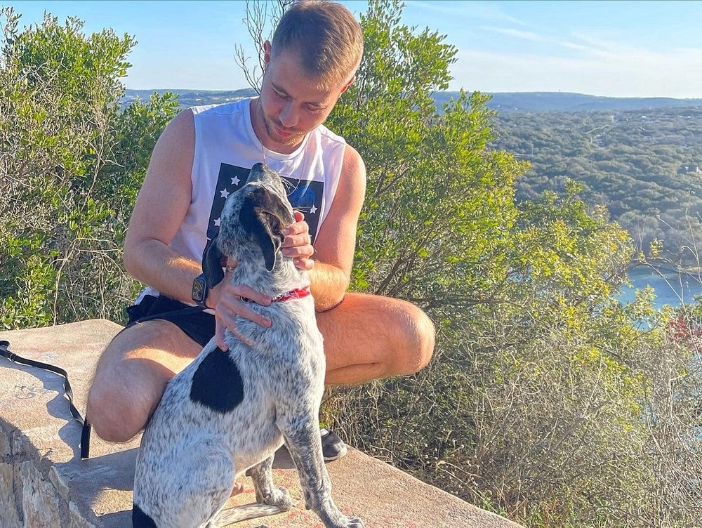 Speckled cattle dog looking alert