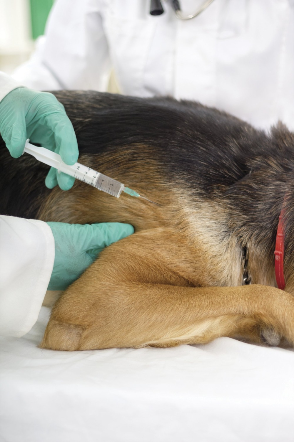 Household items and garden products stored in a cupboard
