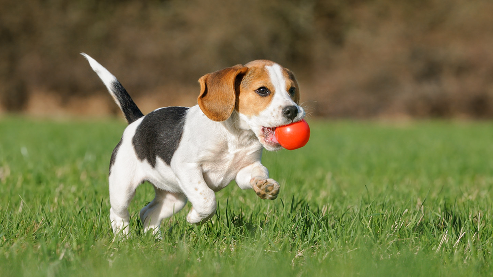 Secure online payment and messaging concept graphic