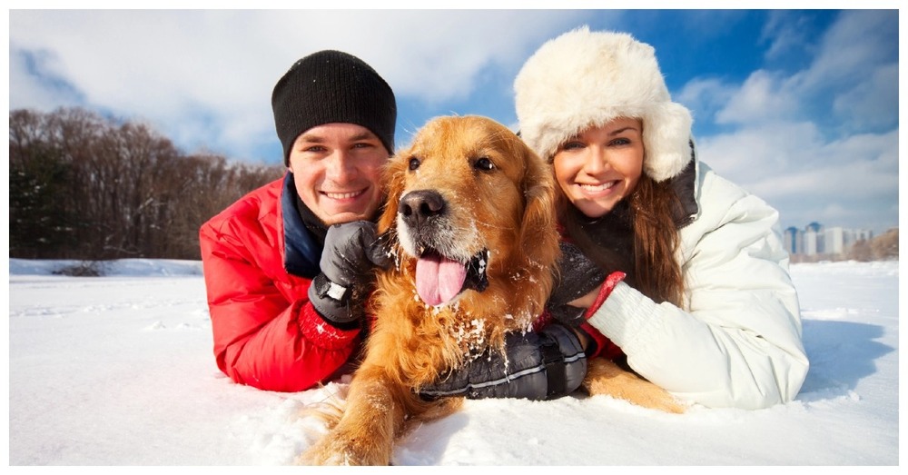 Dog running outdoors on a lead