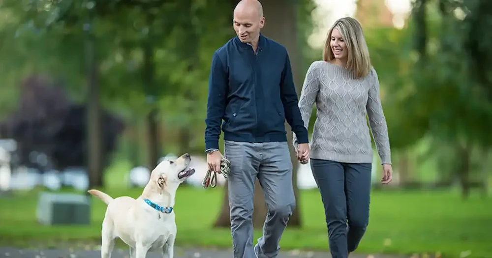 Dog eating from a bowl