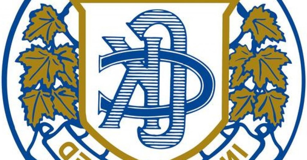 Dog sitting calmly beside a handler