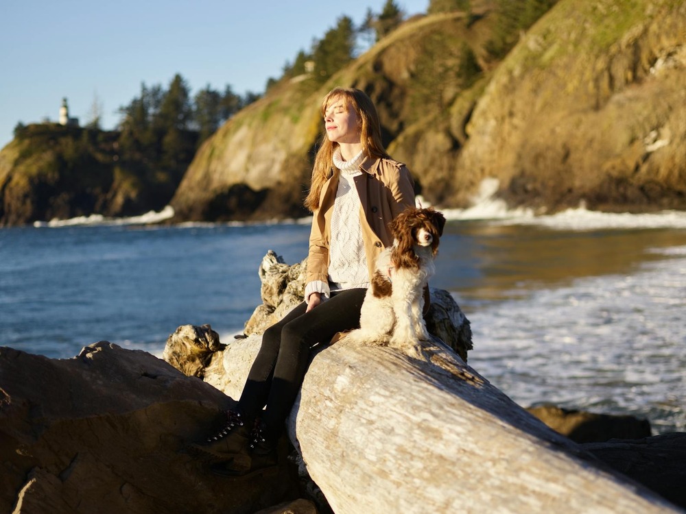 Mixed-breed dog standing alert