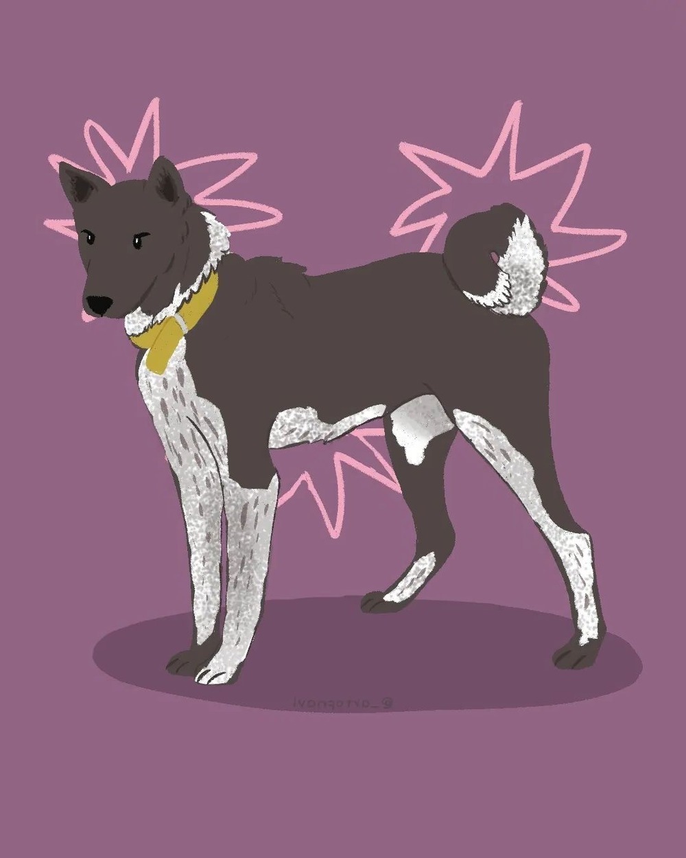 Zerdava dog looking alert