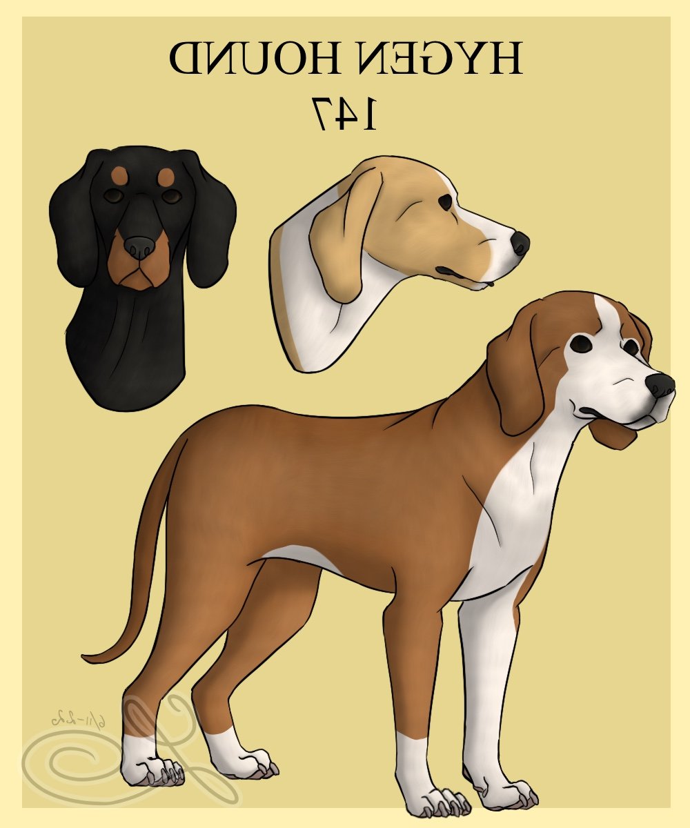 Hygen Hound coat close-up