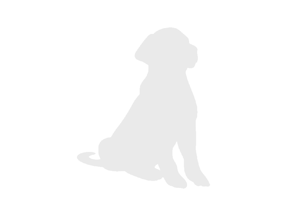 Cane di Oropa sitting in a natural setting