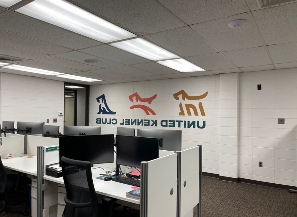 Dog standing outdoors in profile