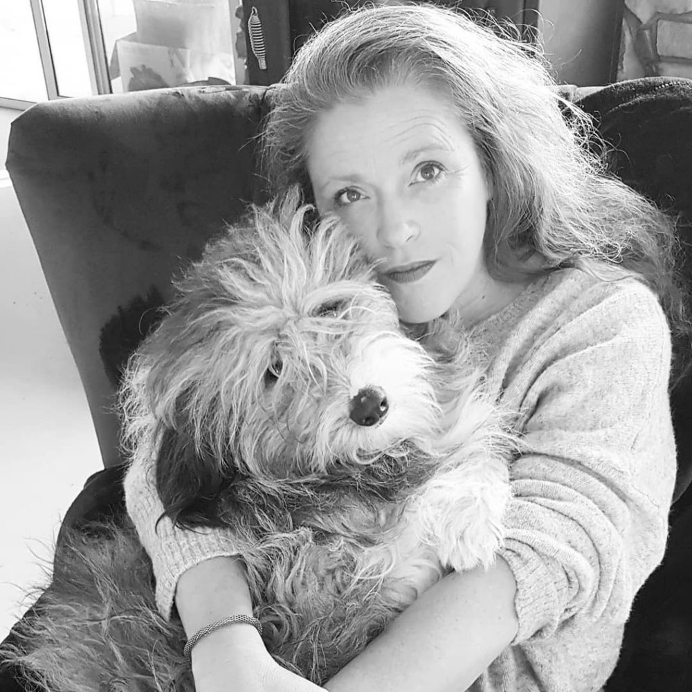 Shaggy working dog looking alert