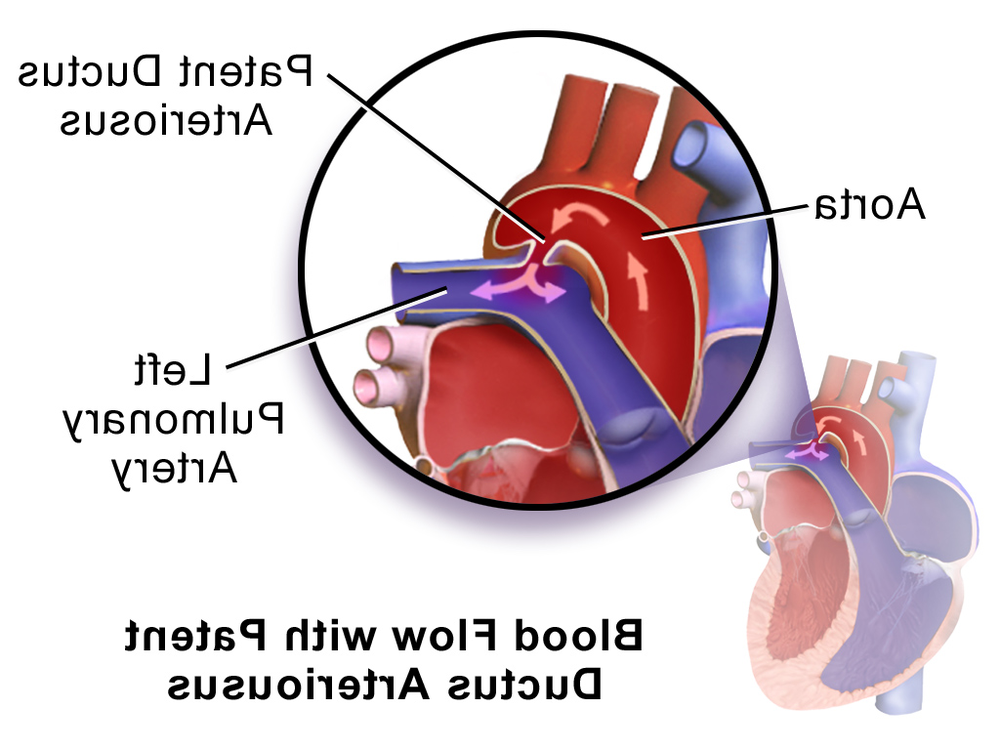 Ultrasound-style view of a heart assessment