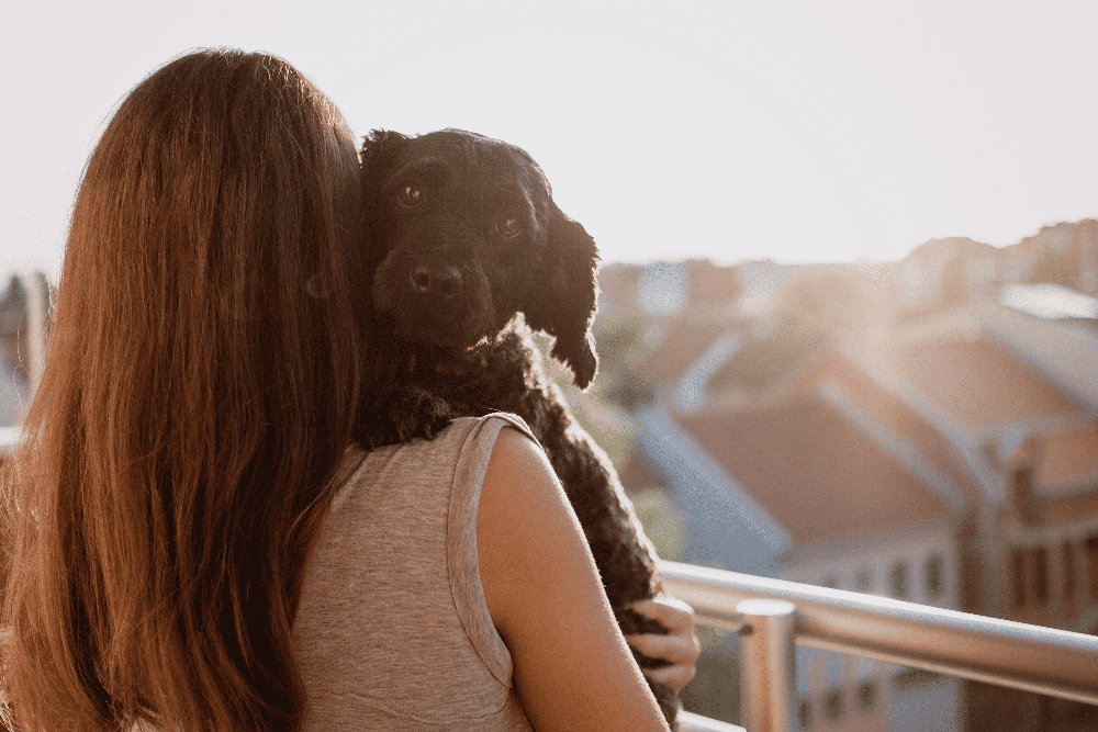 Person holding a paw print keepsake