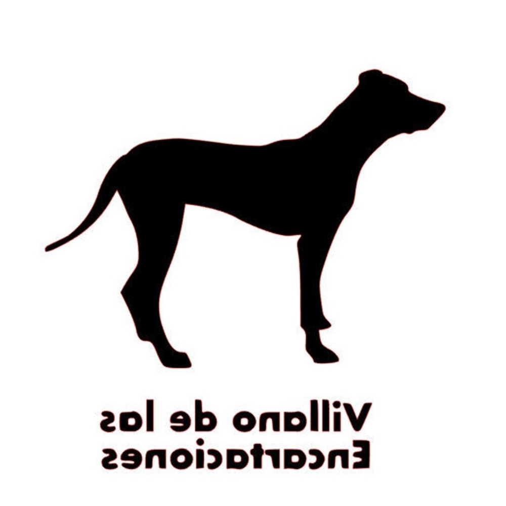 Dog standing on a path in a rural setting, Villanuco type