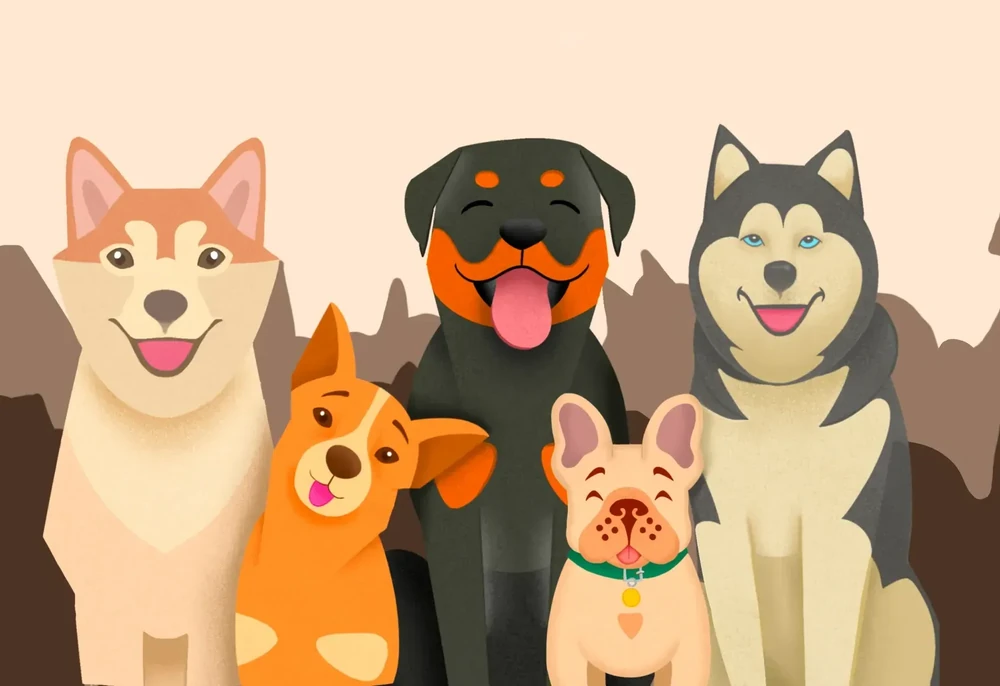 Kombai dog standing in shade