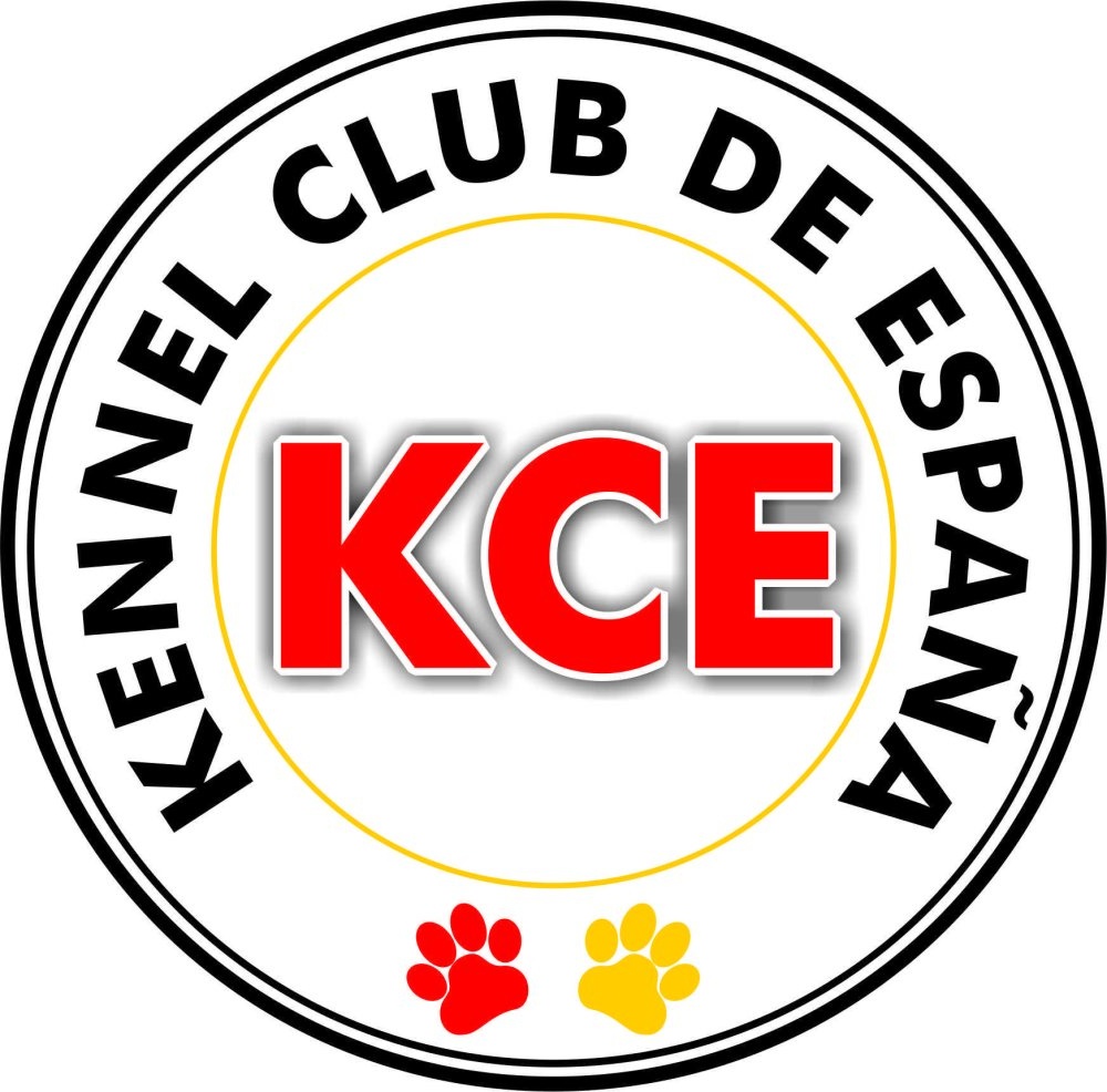 Purebred dog standing for assessment