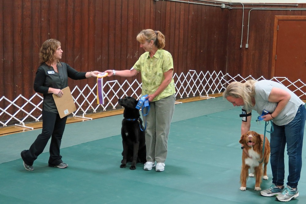 Dog and handler close together
