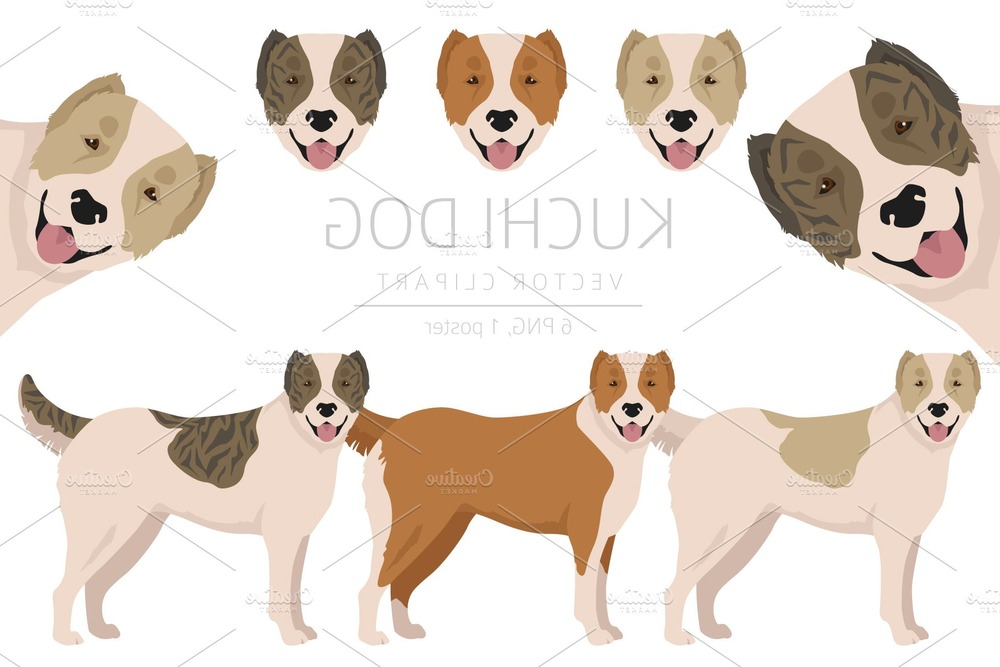 Close view of thick dog coat texture